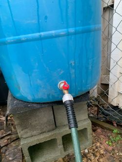 Water 💧 collection! Rain ☔️ barrel! $70