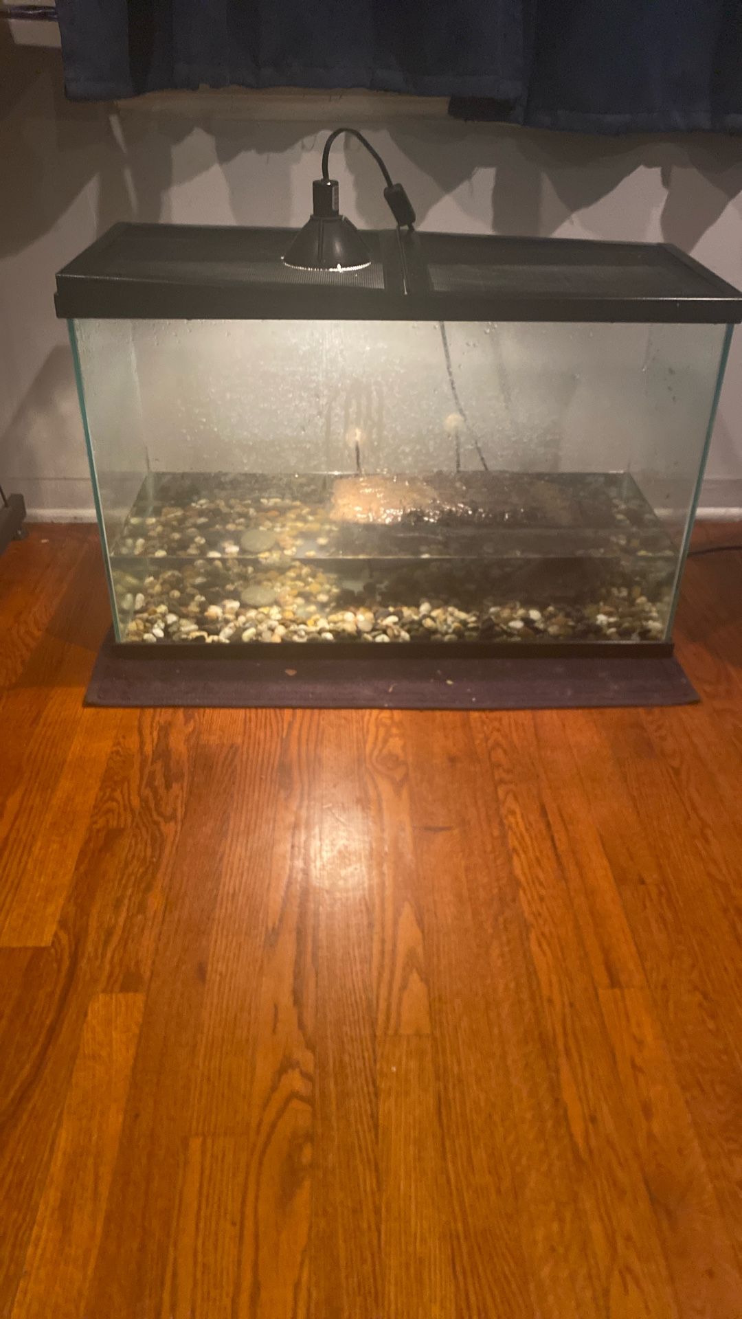 Tank And Solid Wood Stand