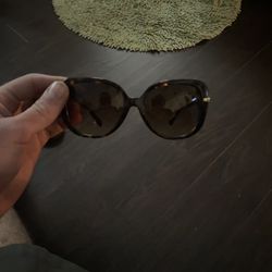 Coach Sunglasses 