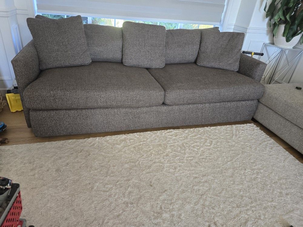 Crate Barrel Deep Sofa