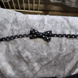 Small Bow Tie
