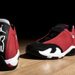 Jordan Retro 14s 