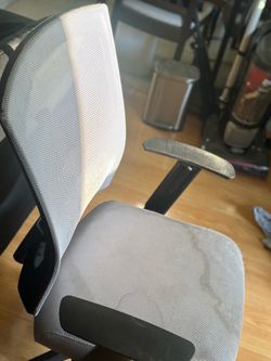 Gray Mesh Ergonomic Office Chair with Adjustable Armrests
