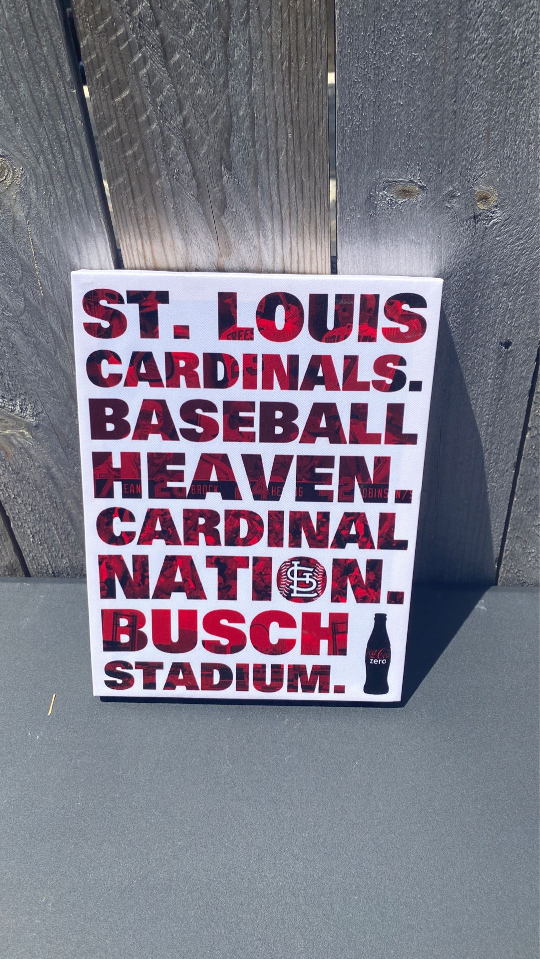 Cardinals canvas 9x12
