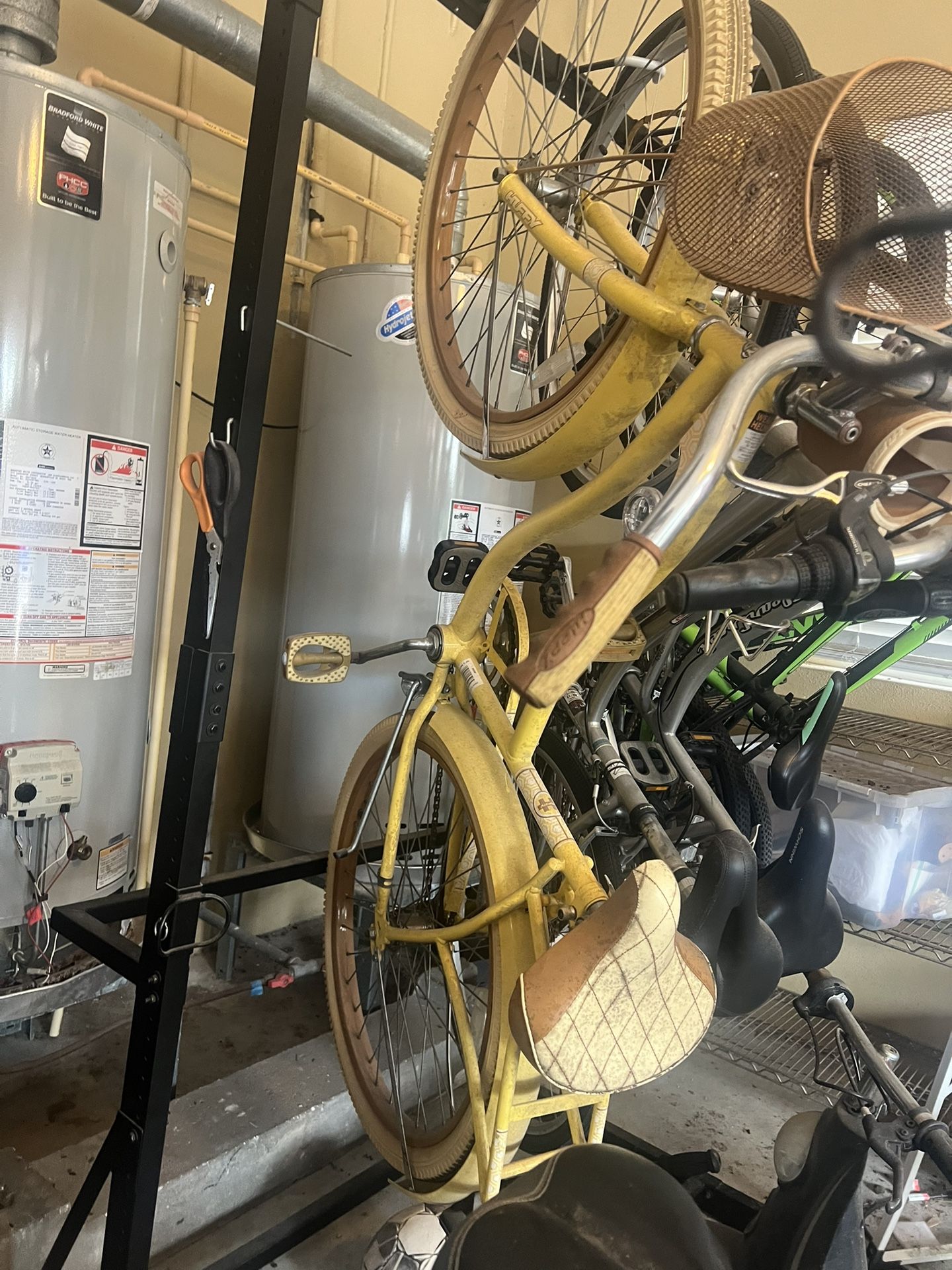 Women adult bike