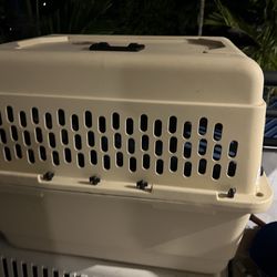 Airline Approved Plastic Dog Kennel with Wheels, Medium