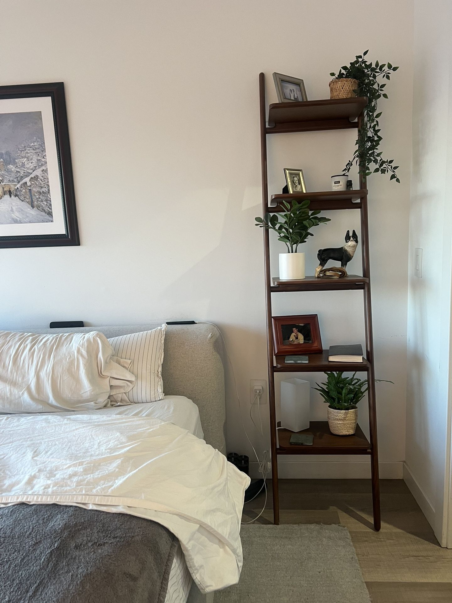 DWR Folk Ladder