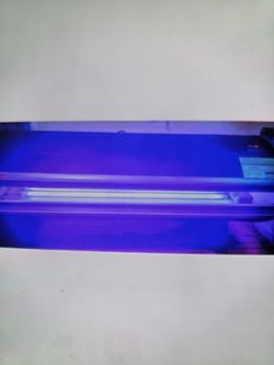 Tanning Bed