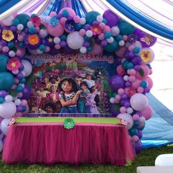 Encanto Birthday Party Decoration 