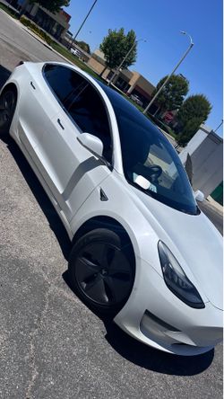 2019 tesla model 3 standard plus