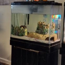 Aquarium And Stand