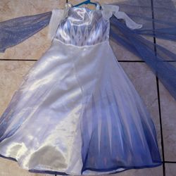 Frozen Elsa Disney Dress 