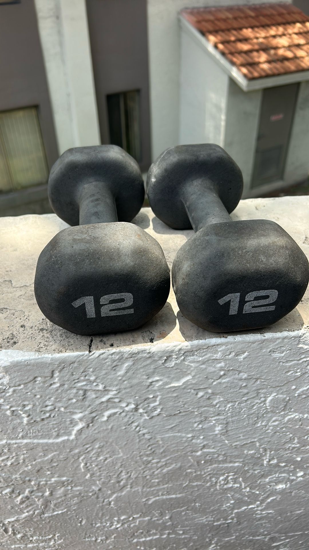 12lbs Dumbbells