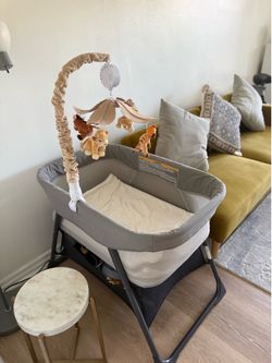Baby Moses for sale