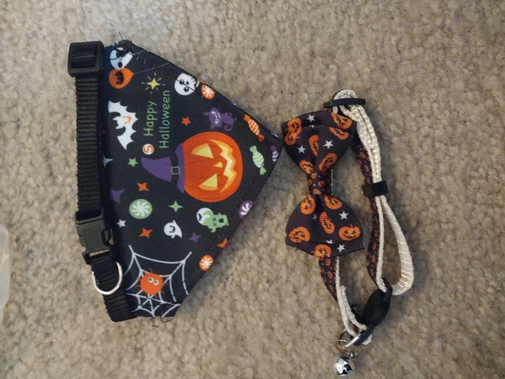 Halloween Collar