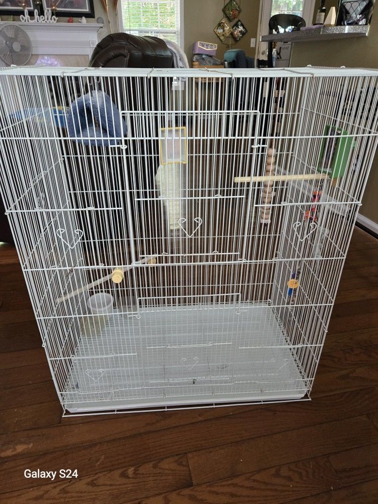 Bird Cage