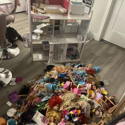 Barbies & Accessories
