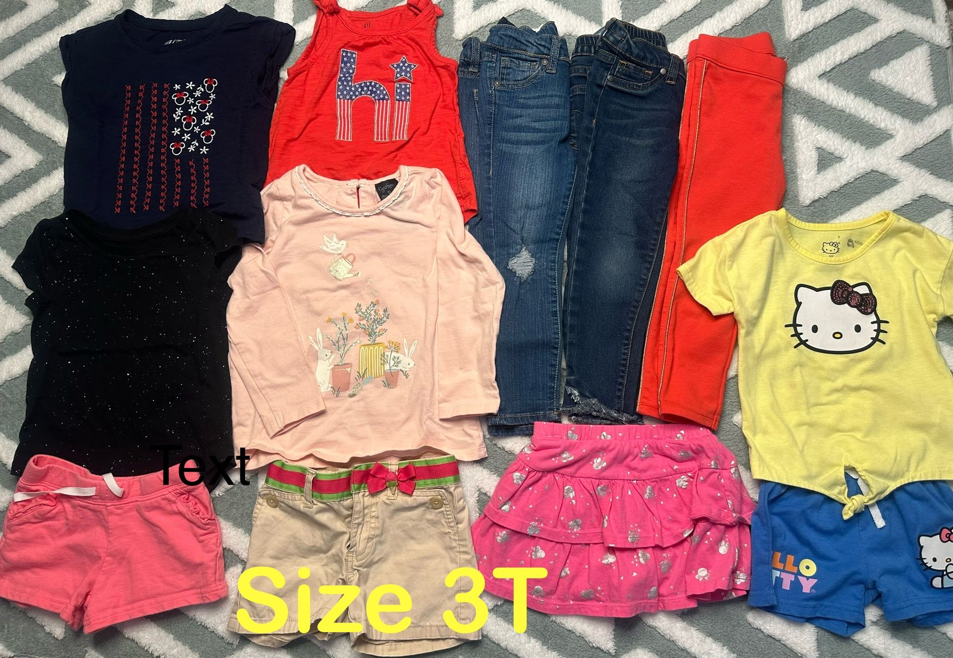 Toddler Girl Clothes Size 3T