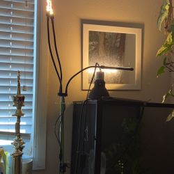 Standing Grow Lights