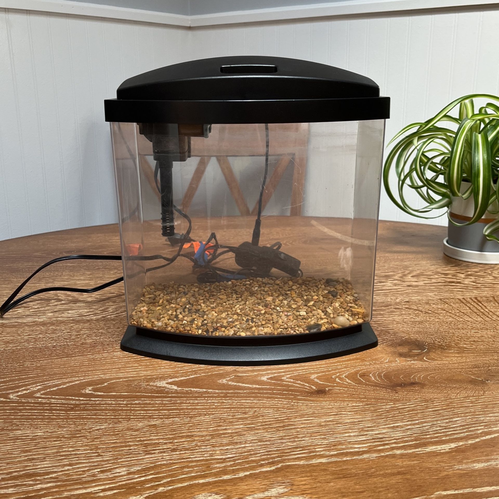 2.5 Gallon Fish Tank
