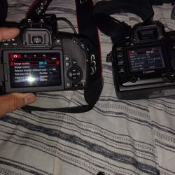 Cannon cameras and lenses!!