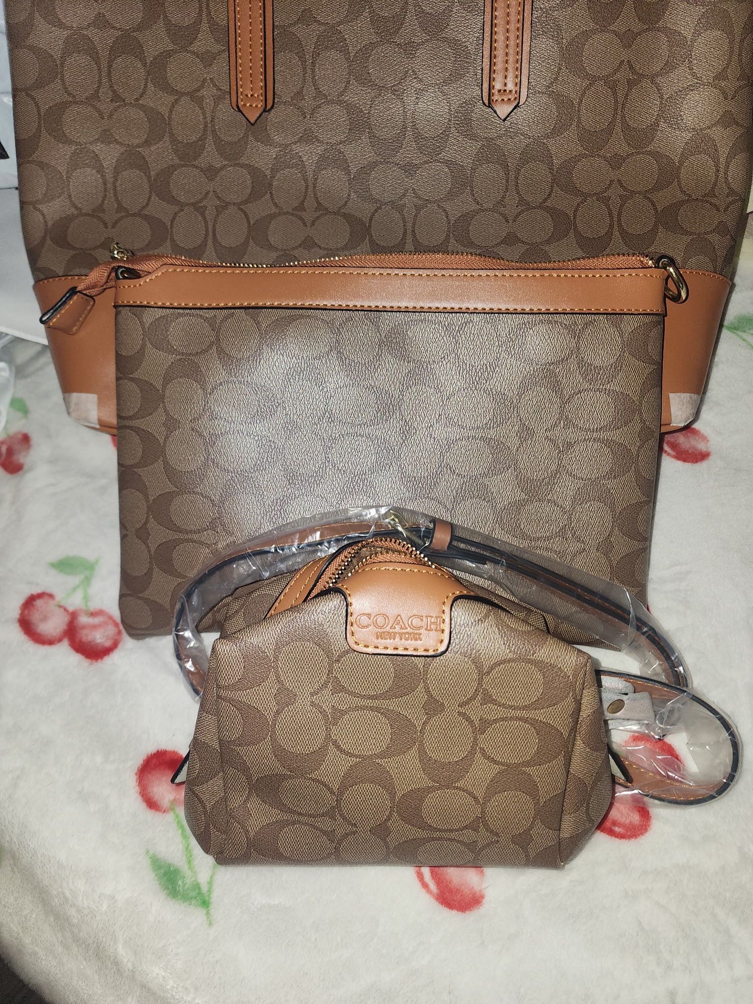 Coach Tote Bag Brand New