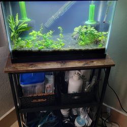 5 Gallon Planted Aquarium Fish Tank