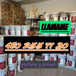 Pintura Y Primer 