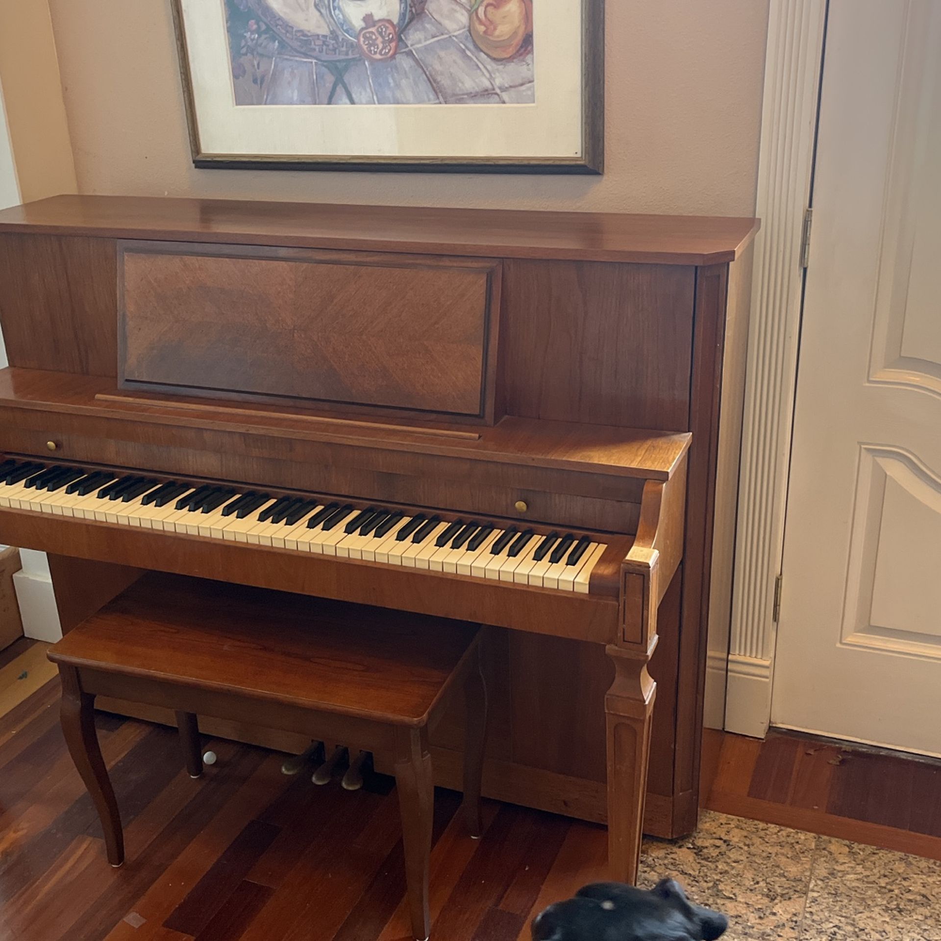 Baldwin 248 Upright Paina
