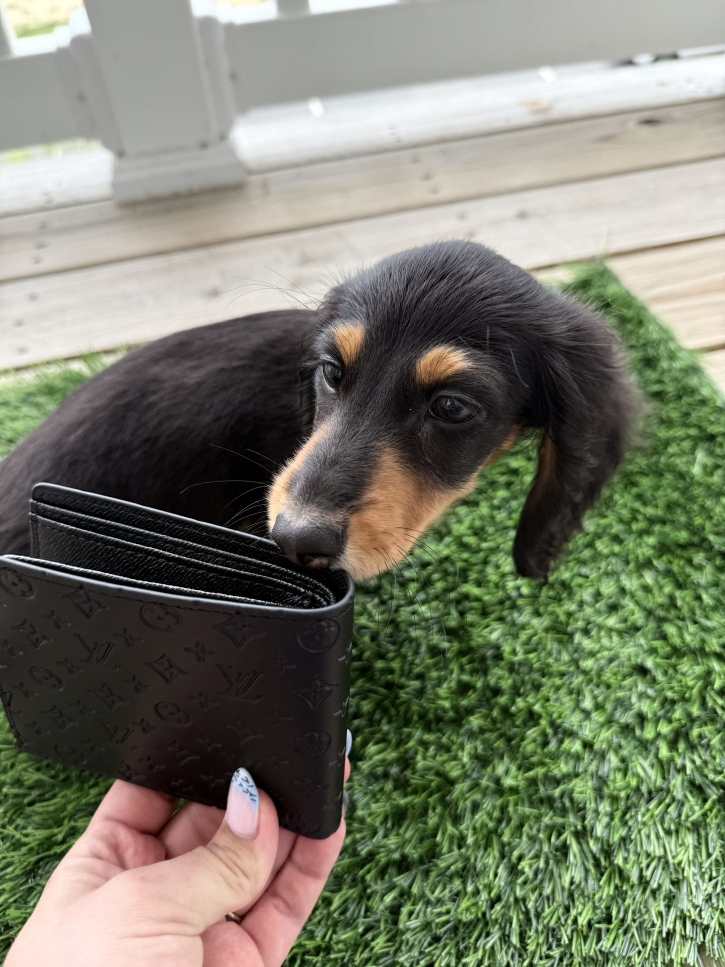 Lv Men’s Wallet