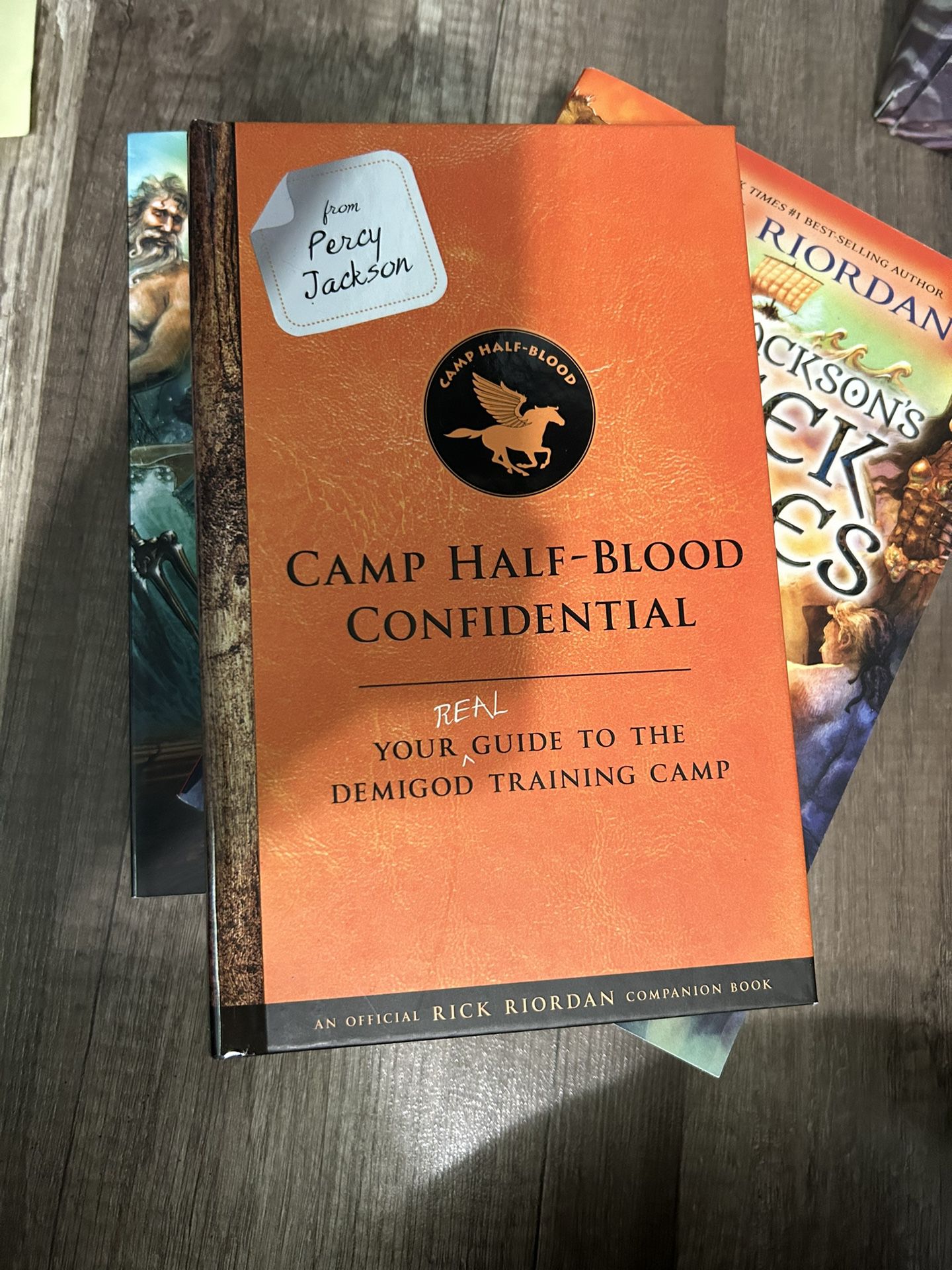 From Percy Jackson: Camp Half-Blood Confidential: Your Real Guide to the  Demigod Training Camp Book Review