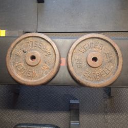 25 pounds Weight Plates