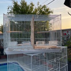 Bird Cage 