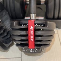 Adjustable Dumbbells For Sale 