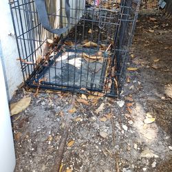 Medium Size Dog Cage