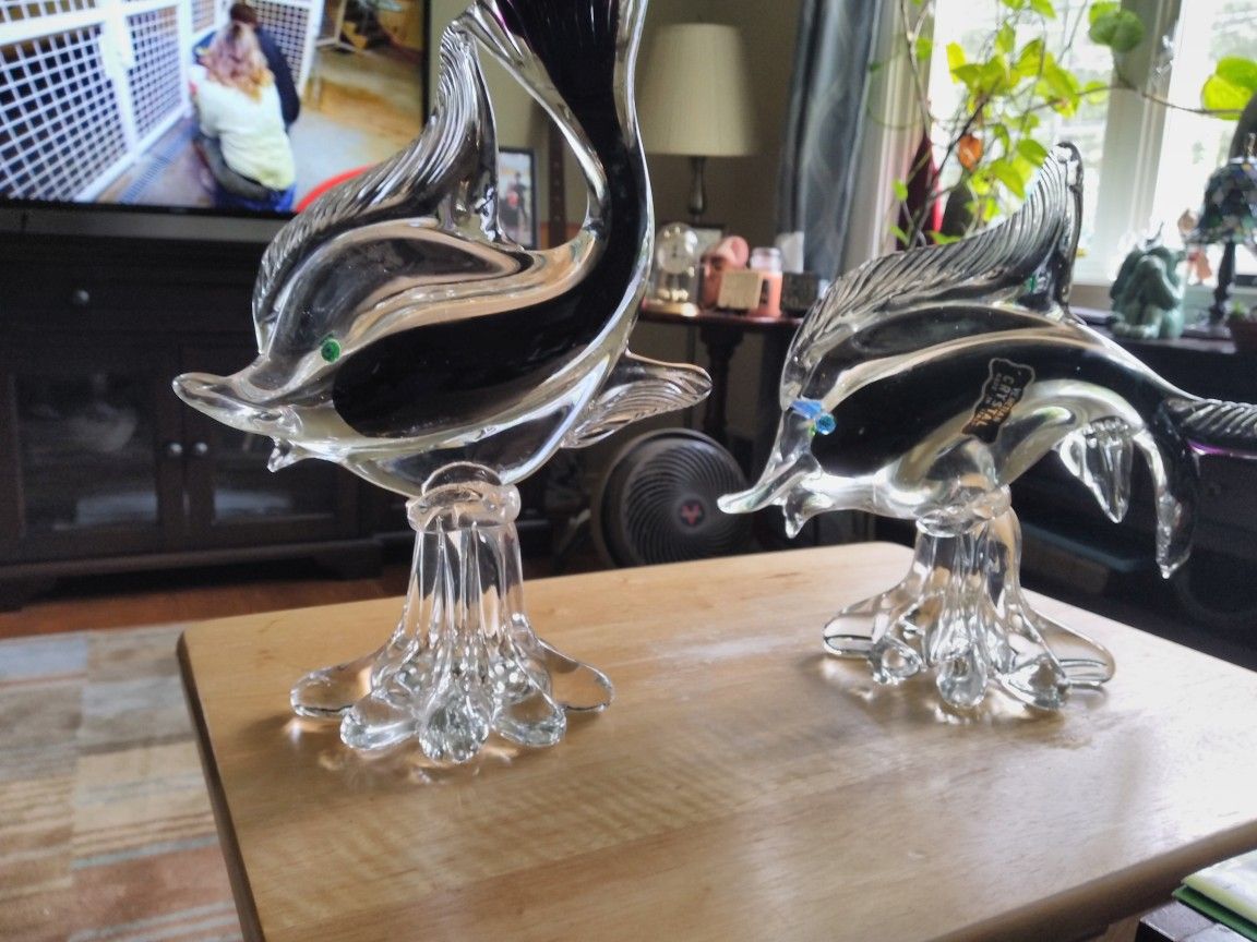 2 Glass Fish