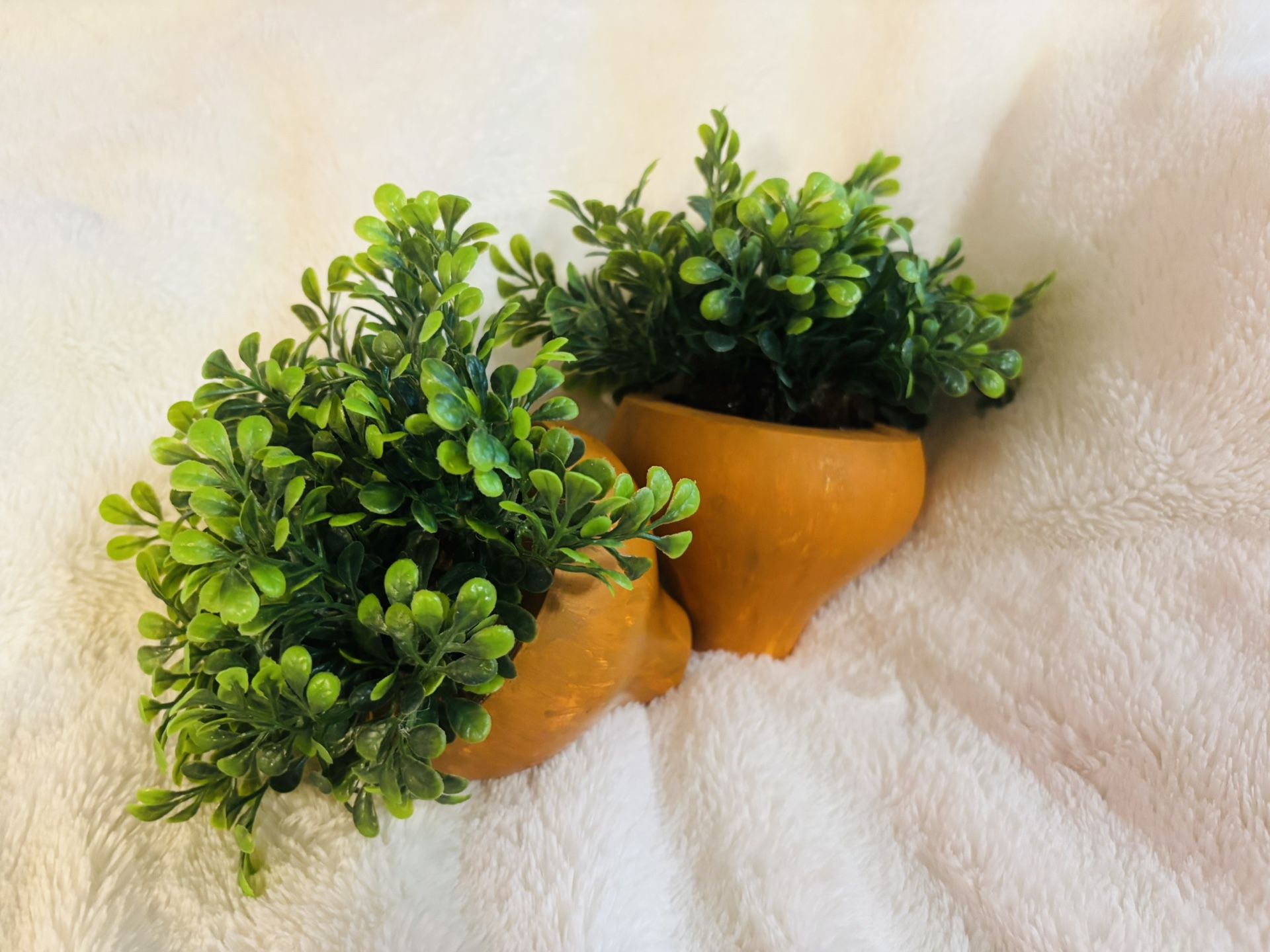 Garden Carrots Decor