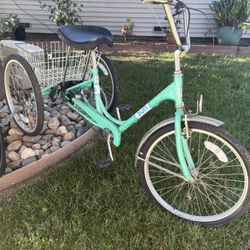 Adult tricycle for sale