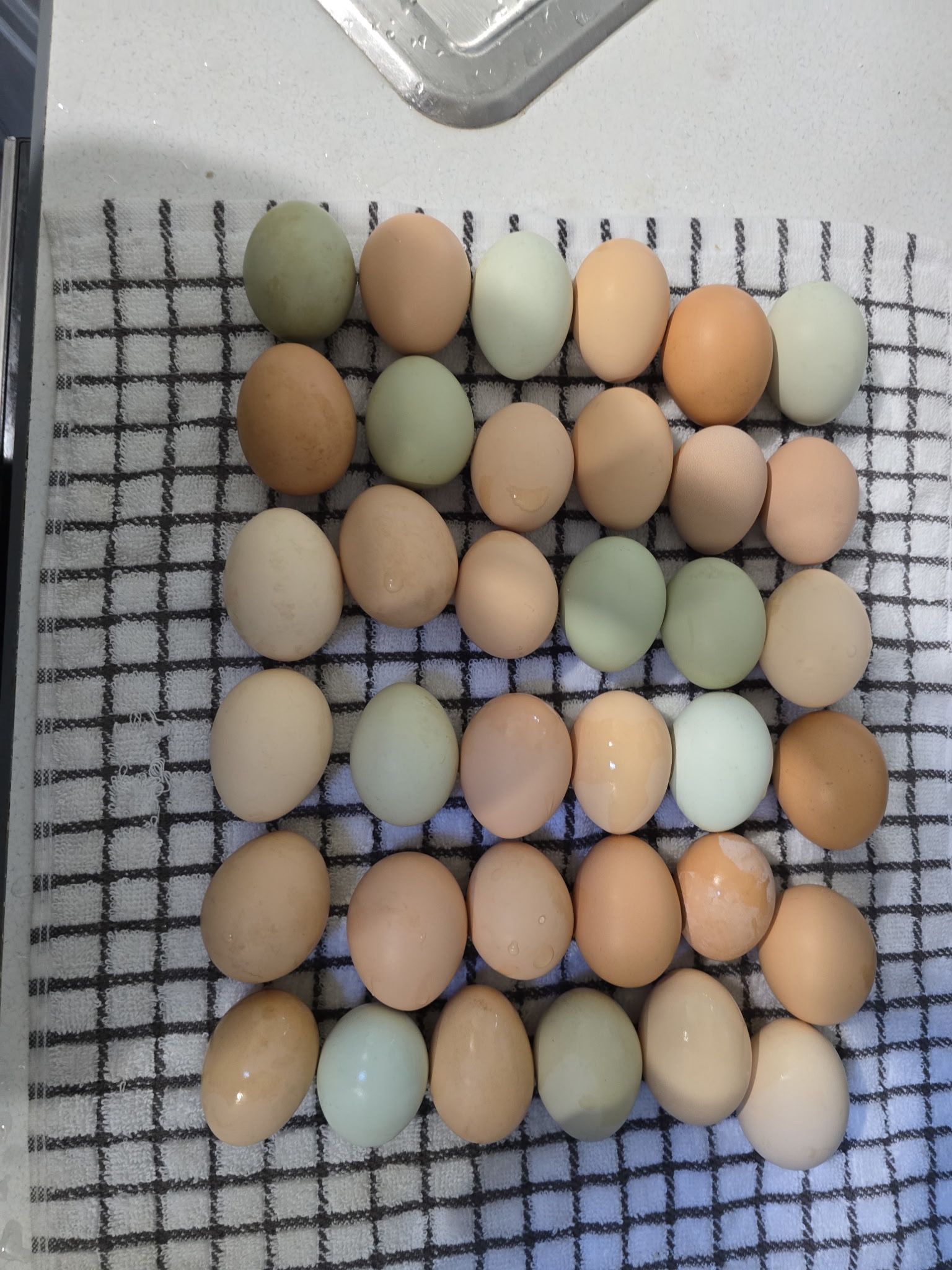 Farm Fresh Eggs
