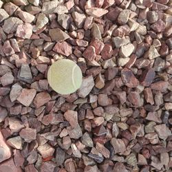 40 Used Tennis Balls For Dogs 