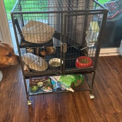 Ginny Pig Cage