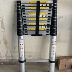 Telescope Ladder 