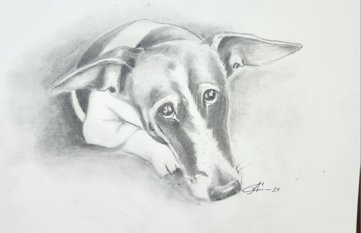 Pencil Portrait "Russell " 11x14"