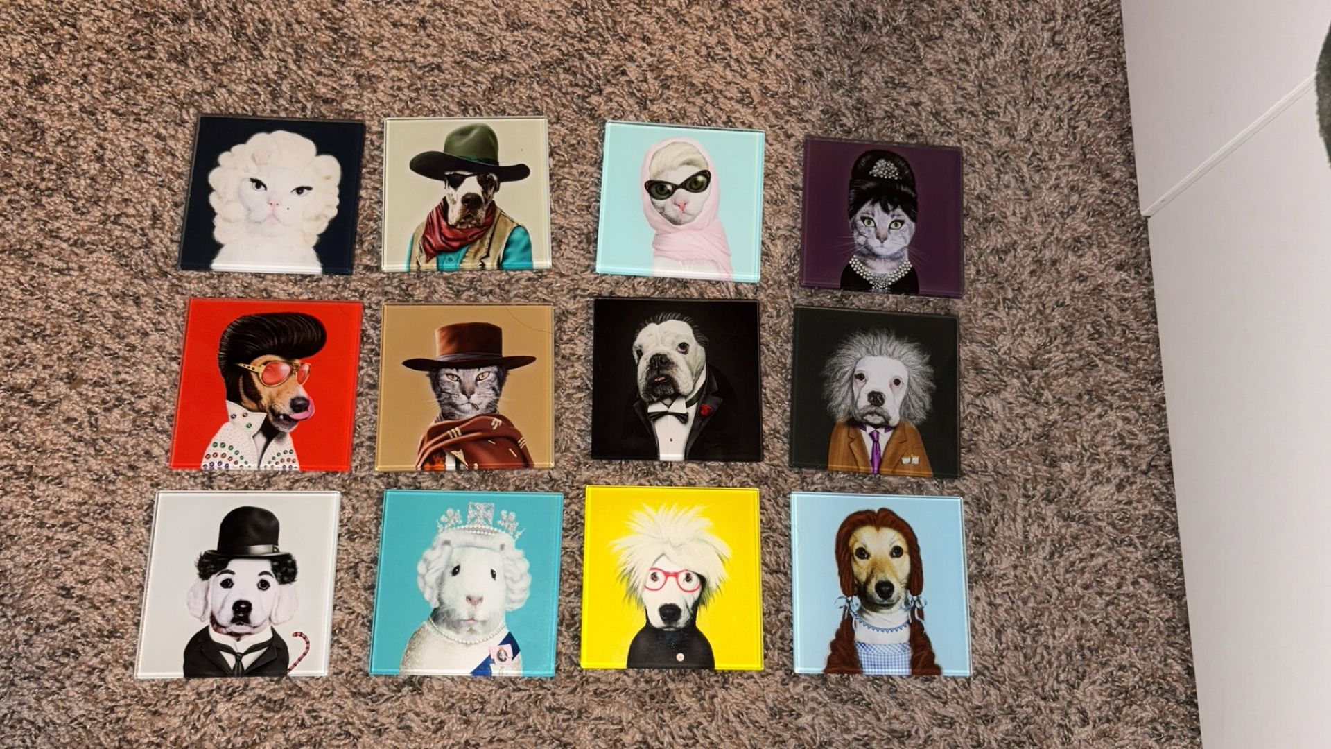 Novelty Pet Portrait Coasters (set Of 12)