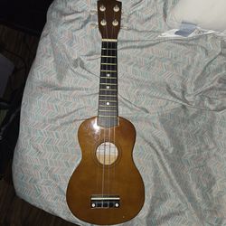 Beginners Ukelele