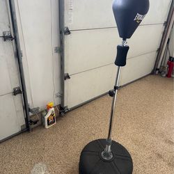 Freestanding Punching Bag for Boxing Training