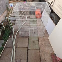 Bird Cage