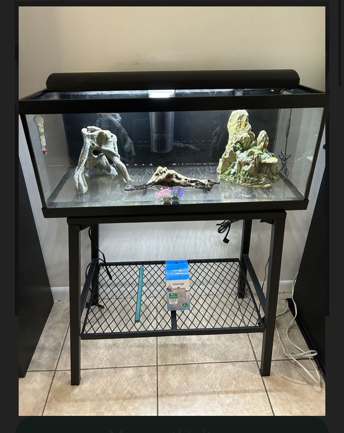 20 GALLON LONG TANK WITH STAND AND EXTRAS