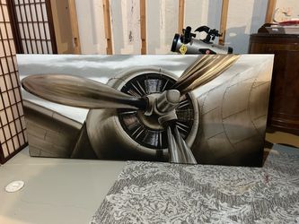Large airplane art