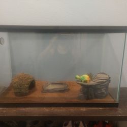 Reptile Enclosure (Tank)